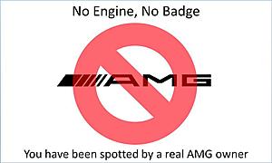 So this is the thing?-215346d1311984147-amg-posers-poser3.jpg