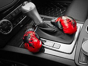 AMG Mini Boxing Gloves-xsvtthv.jpg