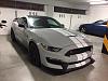 C63S Coupe or Shelby GT350R or E63S Coupe-img_5259.jpg