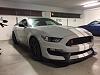 C63S Coupe or Shelby GT350R or E63S Coupe-img_5261.jpg