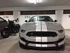 C63S Coupe or Shelby GT350R or E63S Coupe-img_5264.jpg