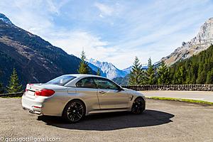 Euro Delivery Questions-2014edgrussgott-70_zps00dc08ff.jpg