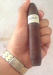 Any smokers?-pig-.jpg