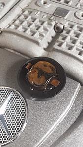 Head Gasket:  Radiator fluid in oil-image.jpg