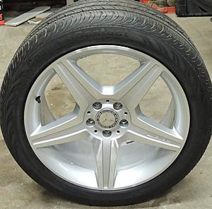 new (to us) wheels for Sherri's car-19.amglogo.jpg