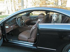 CL-550 Pictures enclosed Majestic Black w/congnac interior-pb180502.jpg