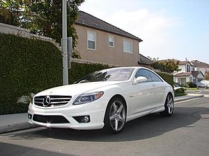 Artic White CL63....-dsc01848r.jpg