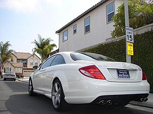 Artic White CL63....-dsc01851r.jpg