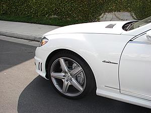 Artic White CL63....-dsc01856r.jpg