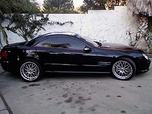 My new look- Black Bison..-0920081821.jpg