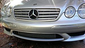 Grille test #1, Stock style with *No star-20121227_144616.jpg