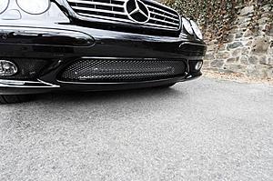 Alcantara-uploadsgallerymercedesbenzcl55_3image11.jpg