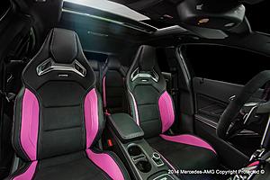 Pink Panther A45-10269089_770516366305779_6425009006155907323_o.jpg