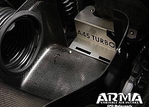 CLA 45 AMG performance intake??-10403583_10152065296156962_2218623330816367170_n.jpg