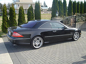 F/S 2003 CL55 Amg @ Whole sale price-cl1.jpg