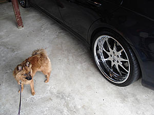 for sale or trade my ddr1 20's for chrome cls55 rims-dsc00175.jpg