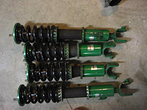 EDFC for your Teins.-tein-1.jpg