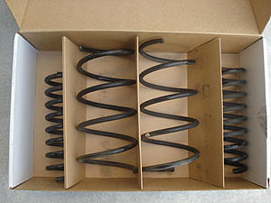 FS: CLK W209 AMG Stock Springs (SF Bay Area) --amg-springs-800.jpg