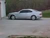 Fs: '99 Clk430-mvc-023f.jpg