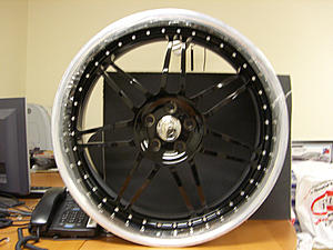 Looking for 20" Hre, Maya, Lowenhart-22dayonar.jpg