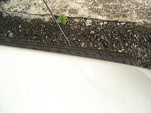 Fender question...-kif_0948.jpg
