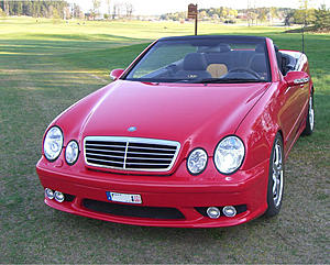 CLK Picture Thread (A Must Look!)-utan.jpg