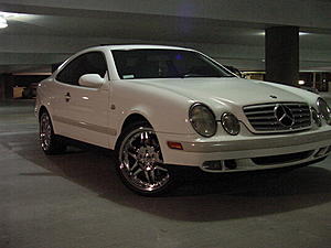 My CLK is about to turn 10 years old-mvc-648s.jpg