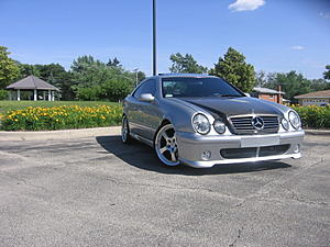 Need pics of non-black CLK's with black grills-cfhoodfinishedinsun004.jpg