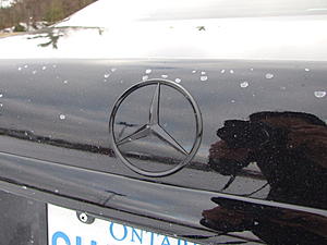 Black Series CLK-2006_01090123.jpg