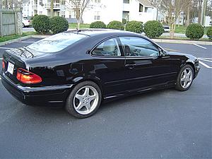 New to the forum and my four week old clk is getting a fresh look-dsc01346.jpg
