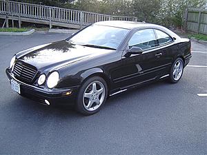 New to the forum and my four week old clk is getting a fresh look-dsc01349.jpg