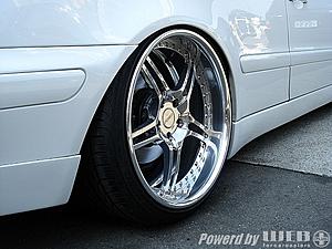 What Type of wheels would you suggest on a White CLK? I'm open to opinions.-5.jpg