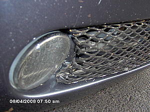 Lower bumper between fog lights-im000535.jpg