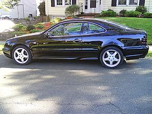 which ones would you keep on?-dsc00520.jpg