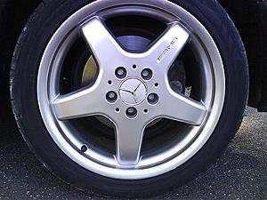 which ones would you keep on?-dsc00522.jpg