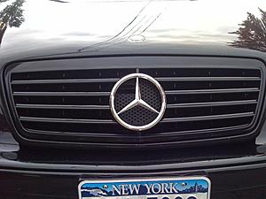 WTB: w208 Grill-photo.jpg