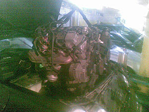 W208 with 500 engine installed!!!-16022009-004-.jpg