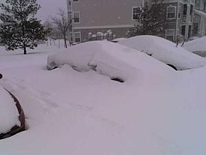 blizzard-image007.jpg