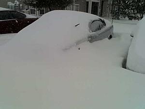 blizzard-image008.jpg