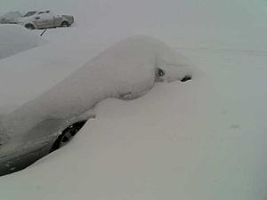 blizzard-image010.jpg