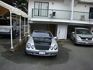New Mods/Pics-dsc01446.jpg