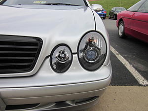 NEW PICS OF MY HALO AND MY CAR-4-10-2011-003.jpg