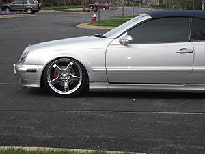 NEW PICS OF MY HALO AND MY CAR-4-10-2011-014.jpg