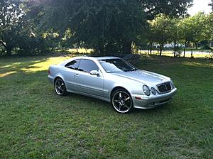 CLK Picture Thread (A Must Look!)-benzgrass.jpg