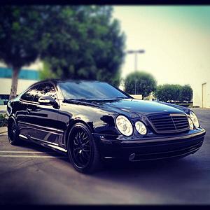 CLK Picture Thread (A Must Look!)-photo5.jpg
