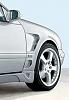 Your opinions on the Lorinser fenders...-lorsilverfend.jpg