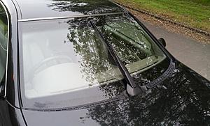 Is this too much?! give me your thoughts.-20150521_165103.jpg