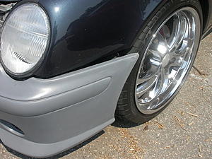 Carlsson RS Rear-dscn9022.jpg