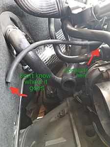 Need help finding where this hose goes-vacuum-hose2.jpg