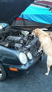Bought a blown-up CLK430 to build a race toy.-bb2zryxl.jpg